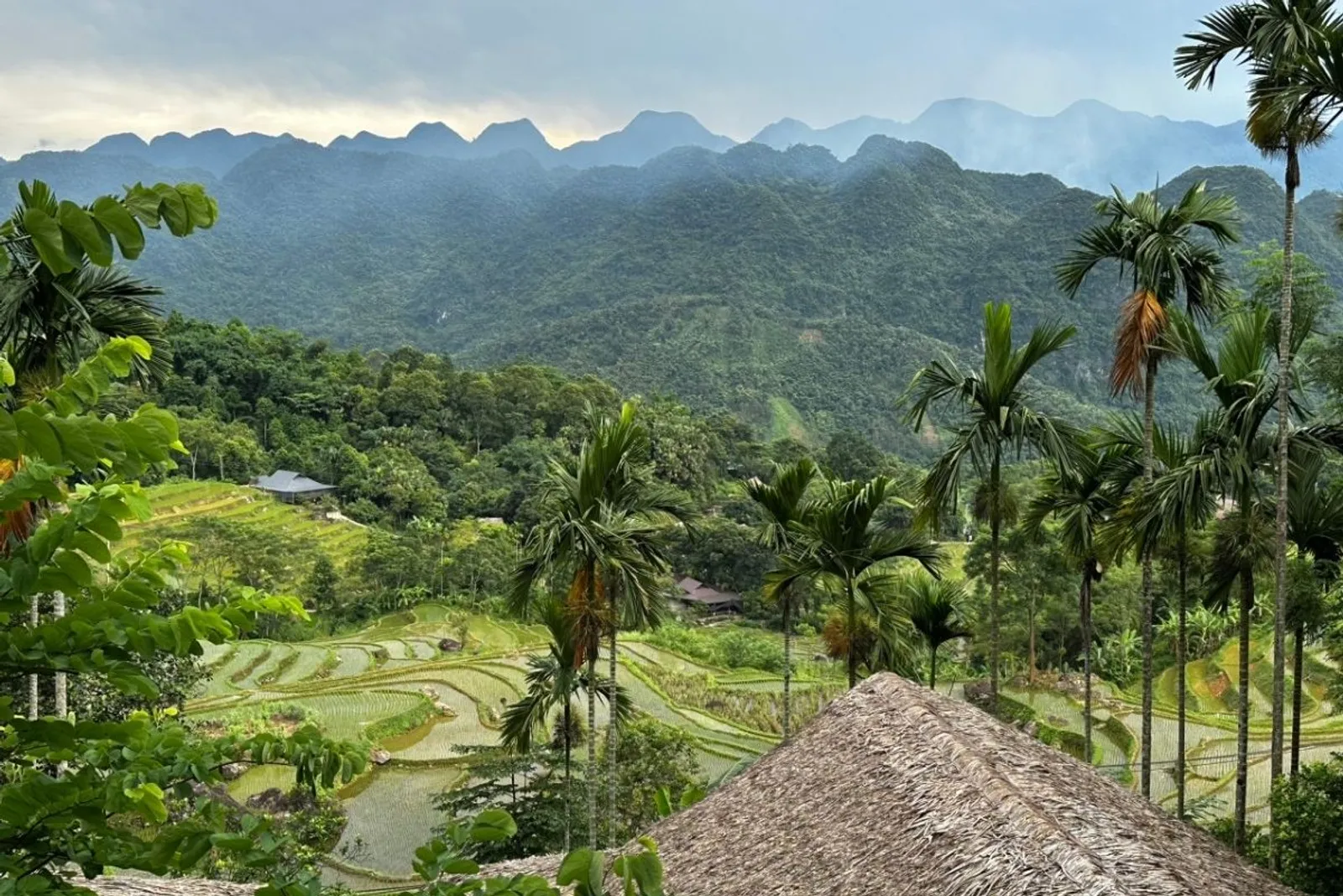 8D7N Mai Chau Valley Pu Luong Retreat Ninh Binh Halong Bay Tour – photo 14