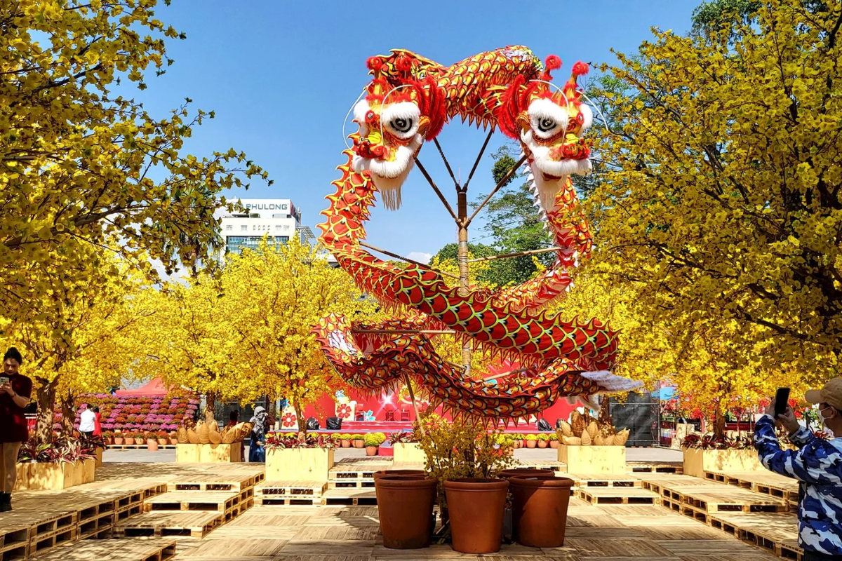 Discover Vietnam in January: Best Destinations and Travel Tips – photo 5