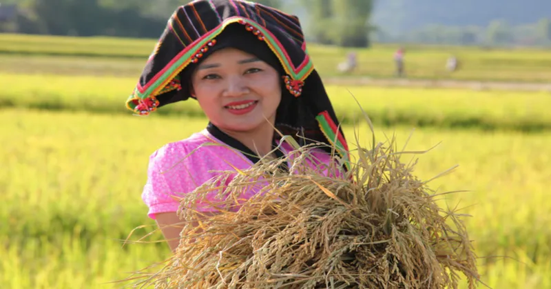 Legend of Vietnam and Laos Tour 14 Days