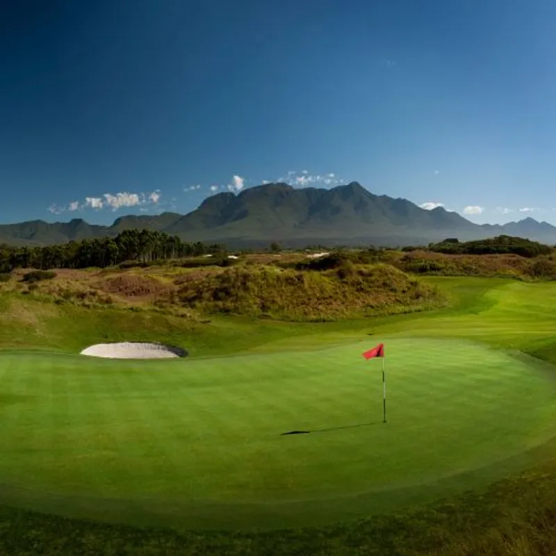 The Links