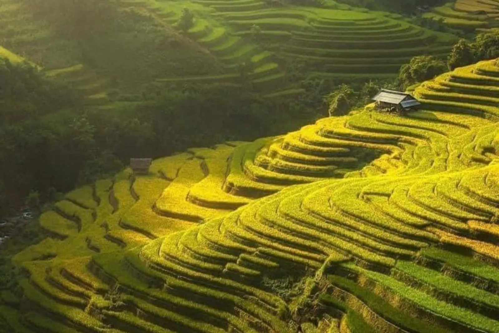 Mu Cang Chai & Sapa 7-Day Private Tour: Khau Pha Pass, Fansipan & Ta Van – photo 14