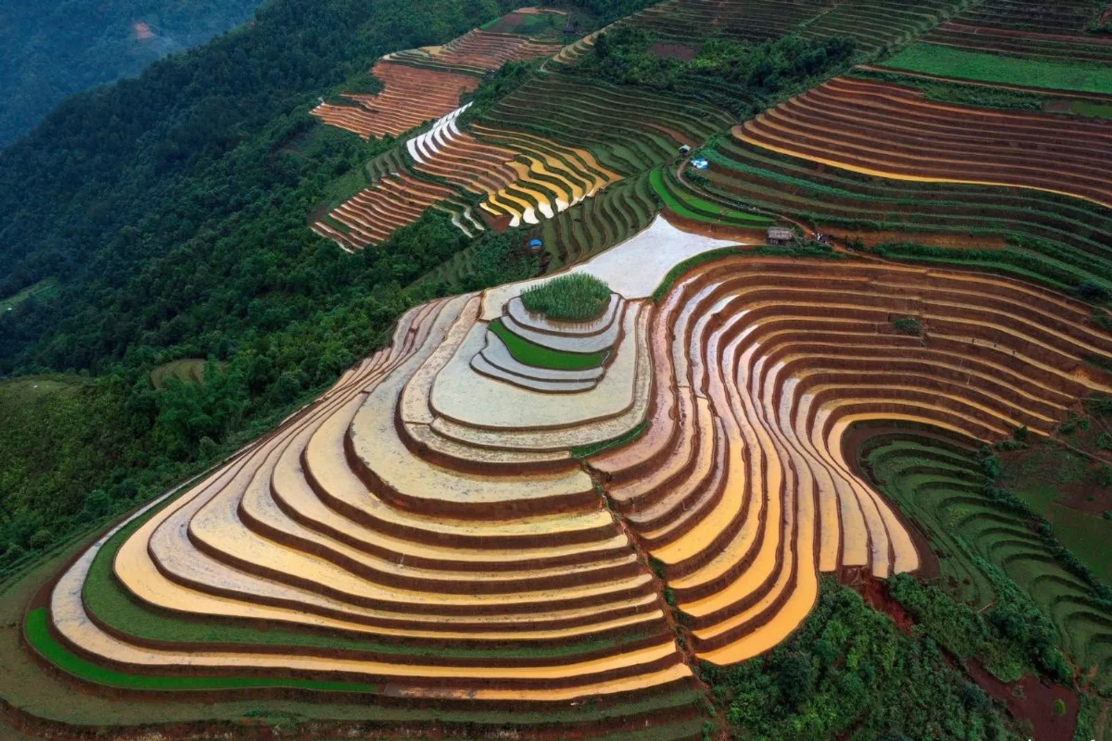 Mu Cang Chai & Sapa 7-Day Private Tour: Khau Pha Pass, Fansipan & Ta Van – photo 11