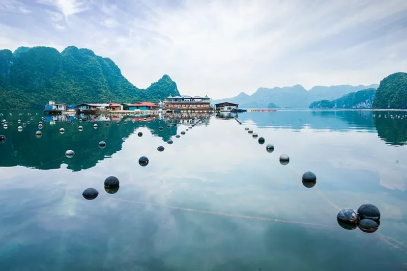HALONG BAY – TRINH NU CAVE – LAN HA BAY – PEARL FARM ( BREAKFAST/ BRUNCH/ DINNER)