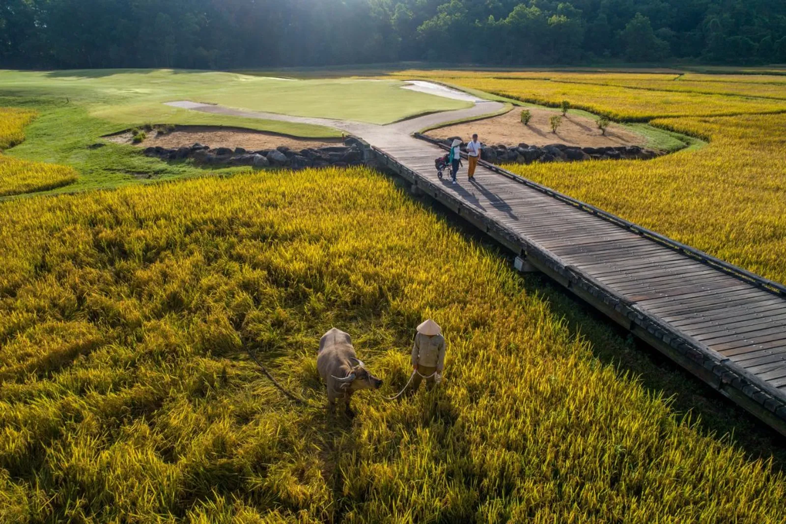 5D4N Da Nang GOLF TOUR (FULL BOARD-PRIVATE) – photo 10