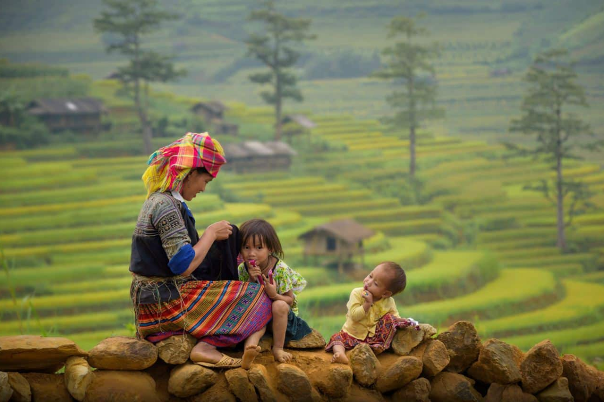 Traditional village in Sapa with green rice fields
