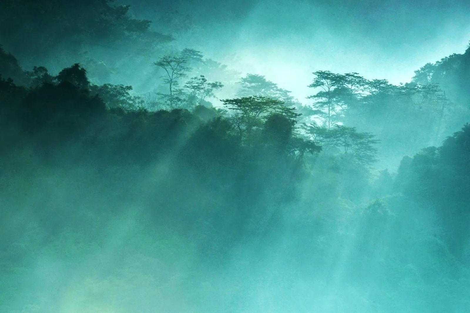 Cuc Phuong National Park Tour 1 Days – photo 7