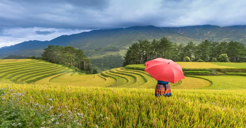 4D3N Hanoi Sapa Halal Tour