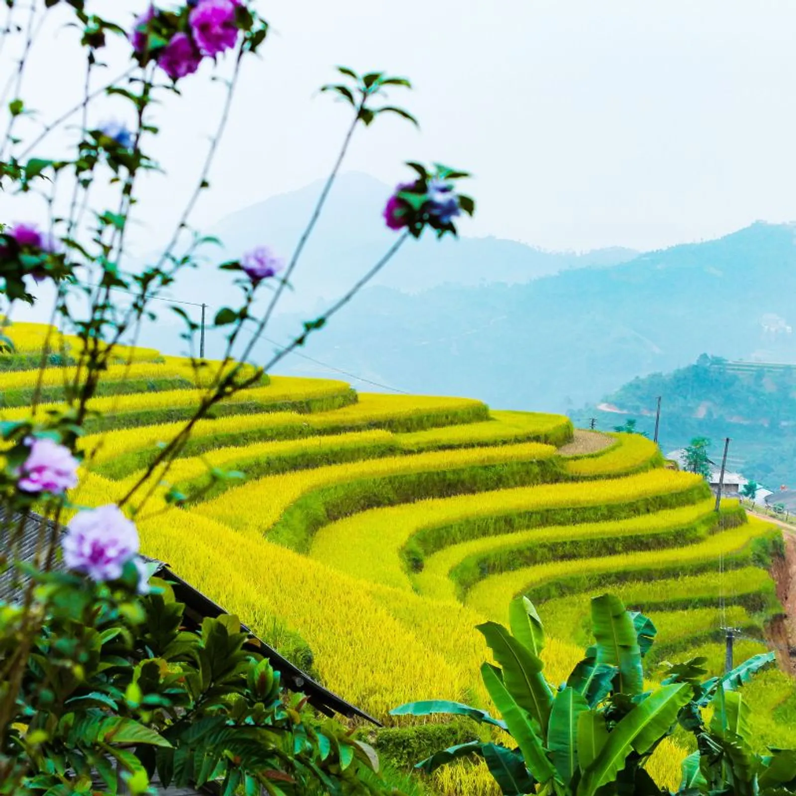 6 Day Ha Giang Yen Minh Meo Vac Cao Bang Ban Gioc Waterfall Tour – photo 19