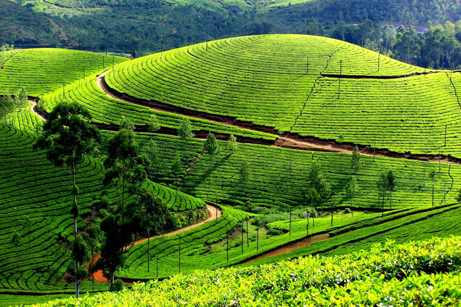 The Ultimate Guide to Visiting Vietnam in May