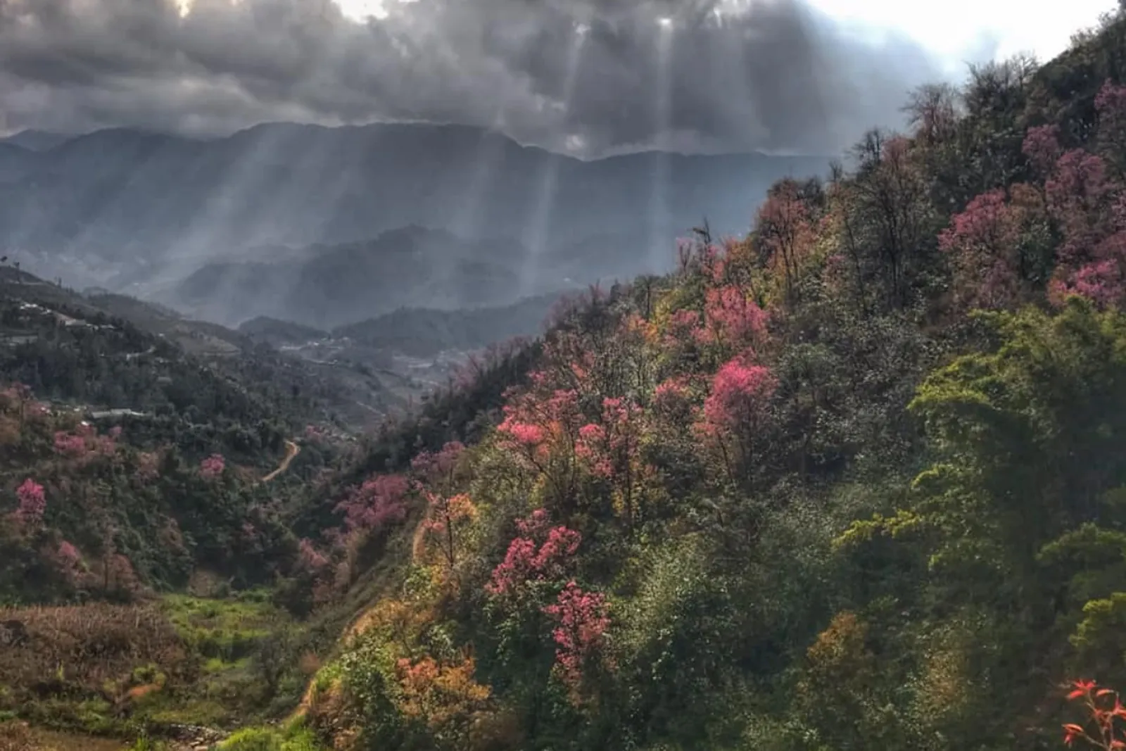 Mu Cang Chai Tour 3 Days – photo 8