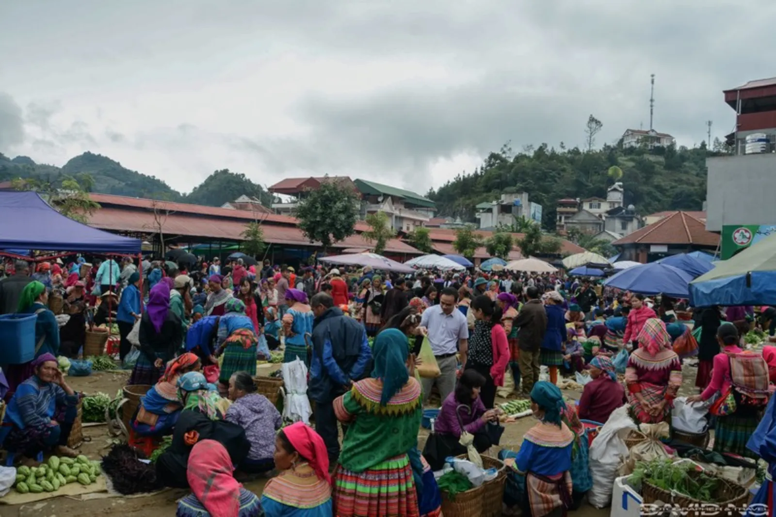 Northeast Vietnam 11-Day Private Tour: Ha Giang, Ba Be, Ban Gioc & Halong Bay – photo 20