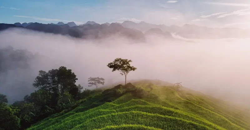 3D 2N Pu Luong Featured Tour: Serenity and Discovery Amidst Nature