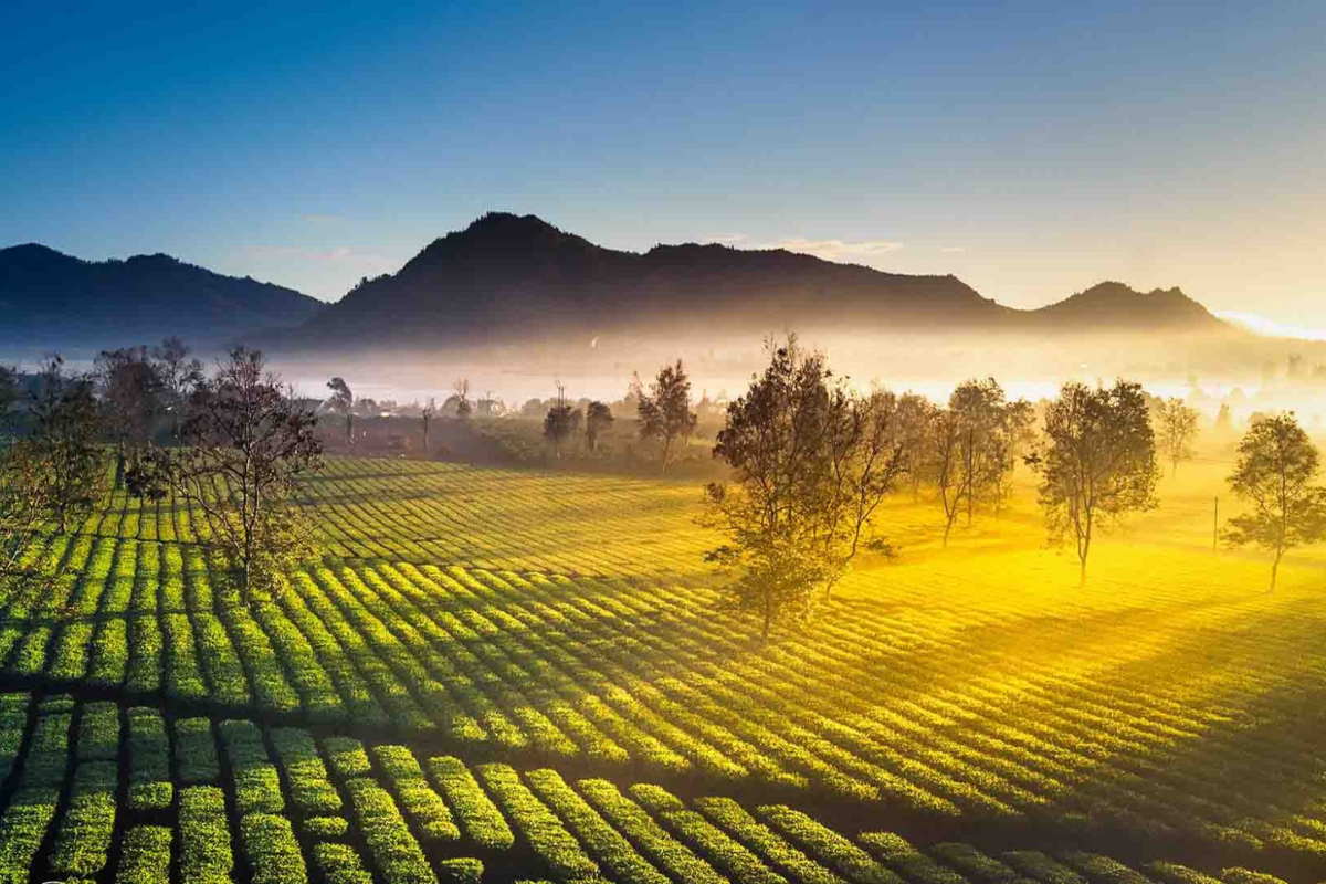 Exploring Vietnam in April: A Traveler’s Guide – photo 1