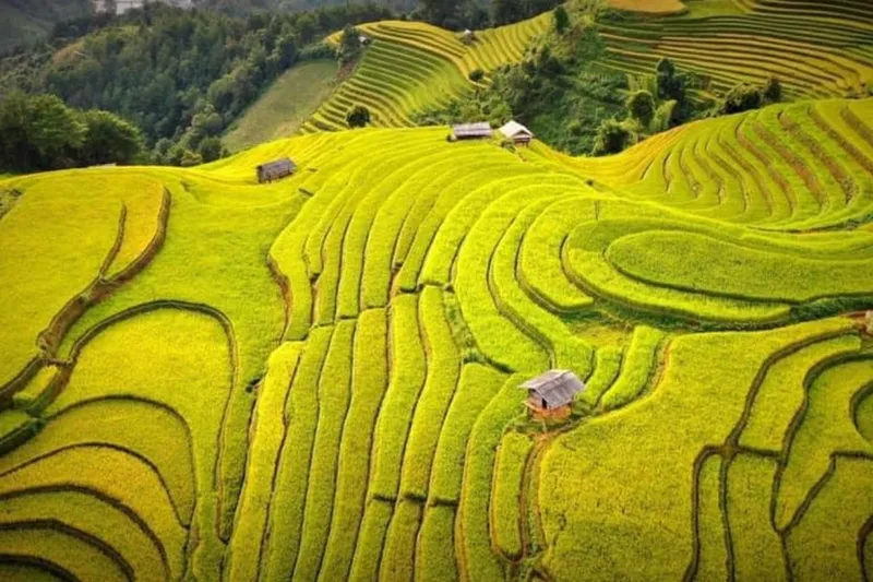 Mu Cang Chai Tour 3 Days – photo 2