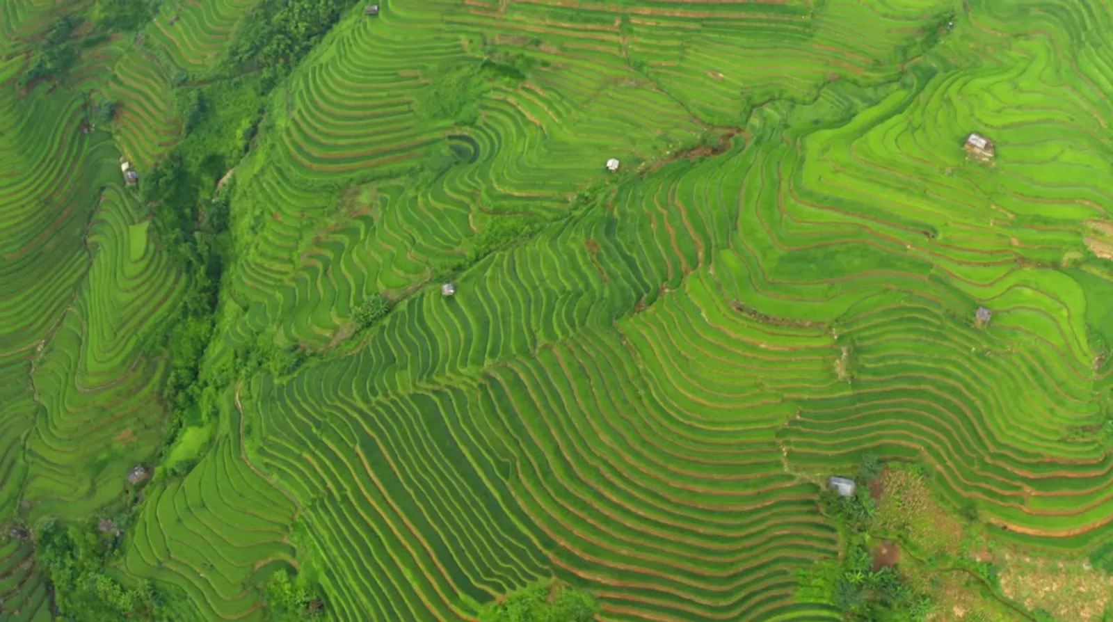 Mu Cang Chai Tour 3 Days – photo 46