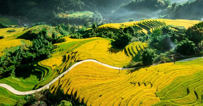 6H5M HANOI - TELUK HALONG - SAPA - FANSIPAN
