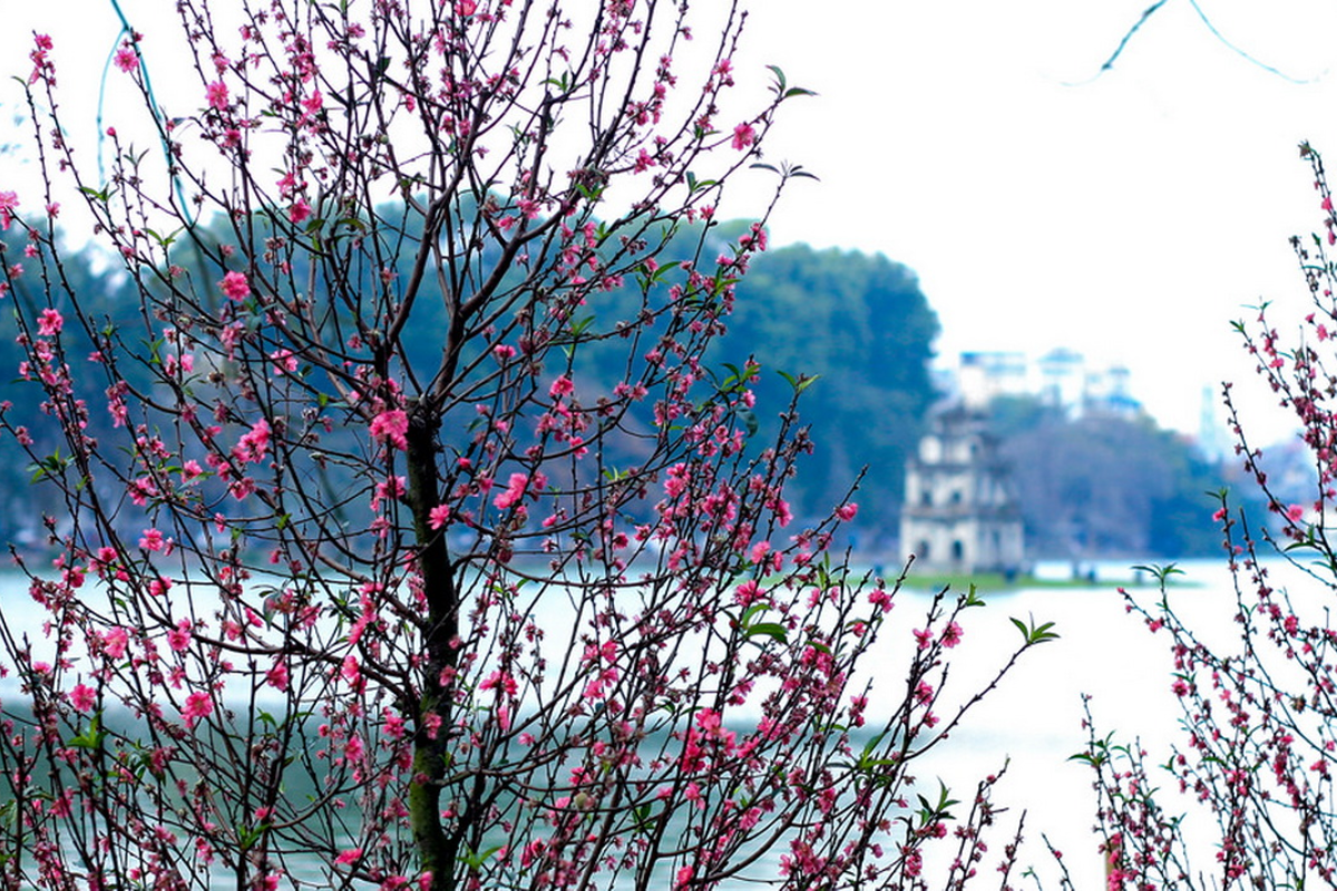 Explore Vietnam in February: The Ultimate Travel Guide – photo 2