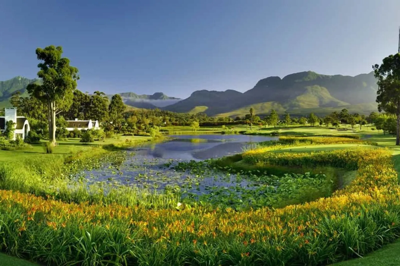 Outeniqua Course South Africa World Mate Travel-4