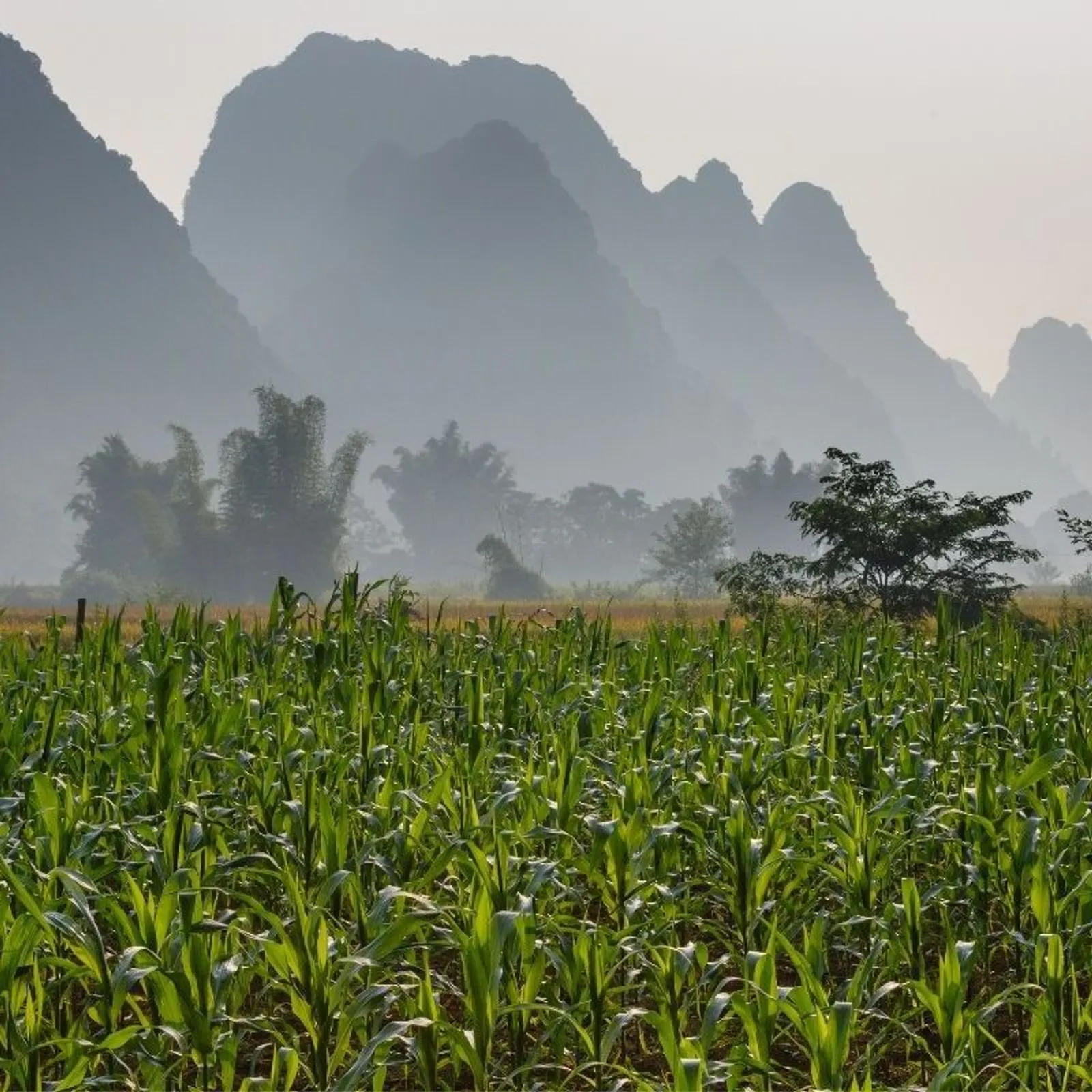 6 Day Ha Giang Yen Minh Meo Vac Cao Bang Ban Gioc Waterfall Tour – photo 26