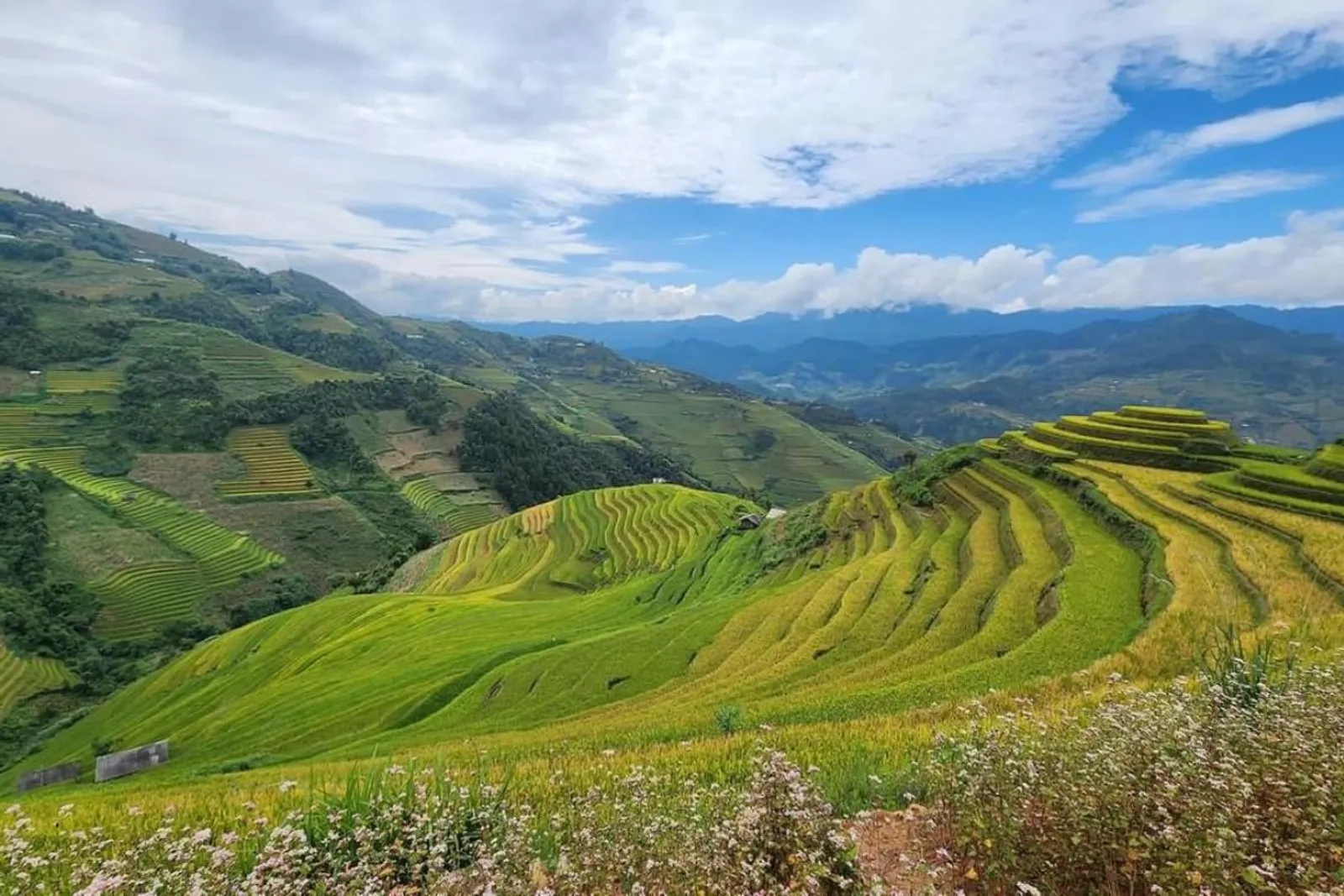 Mu Cang Chai Tour 3 Days – photo 24