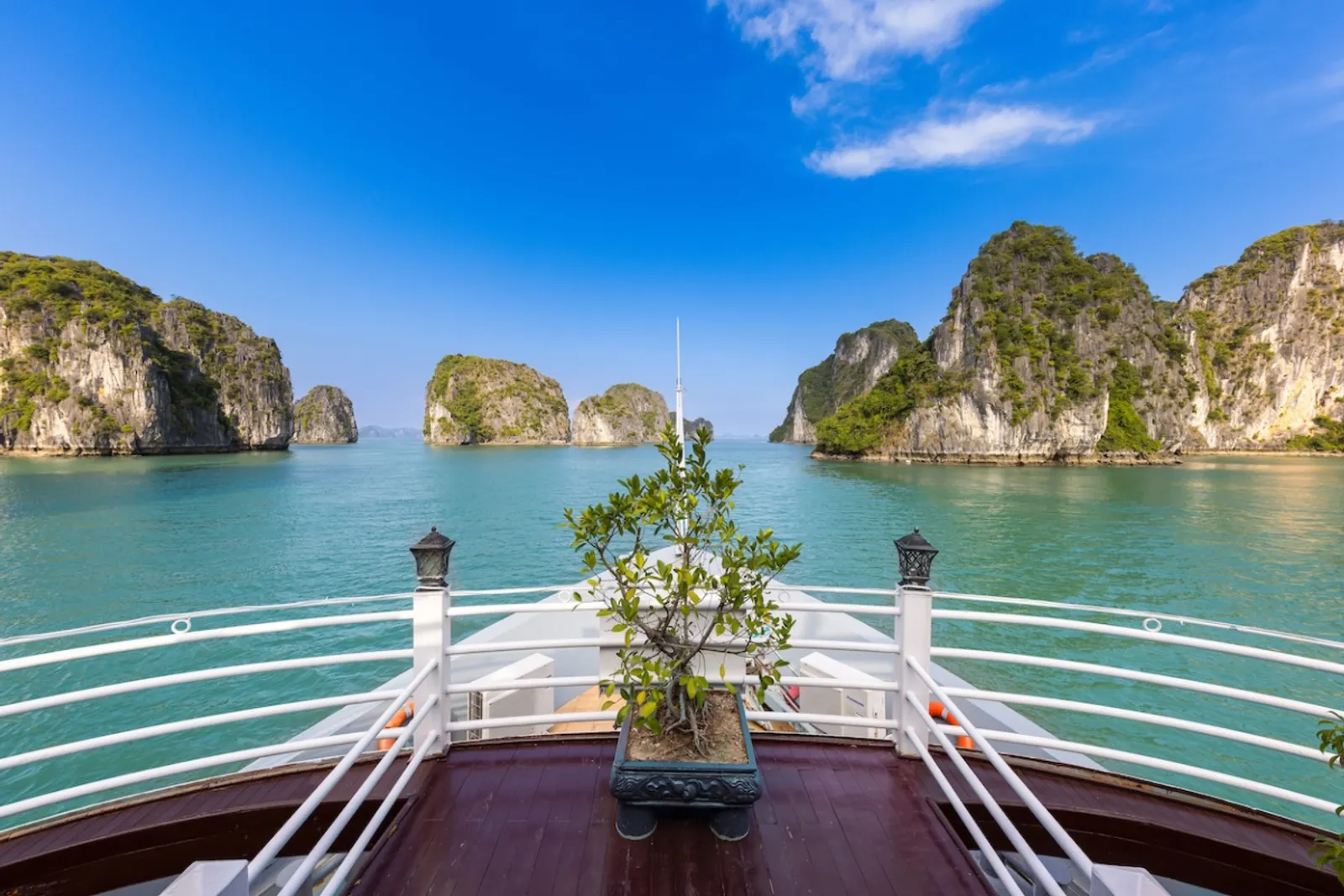 SWAN CRUISES 2 DAYS 1 NIGHT – photo 15