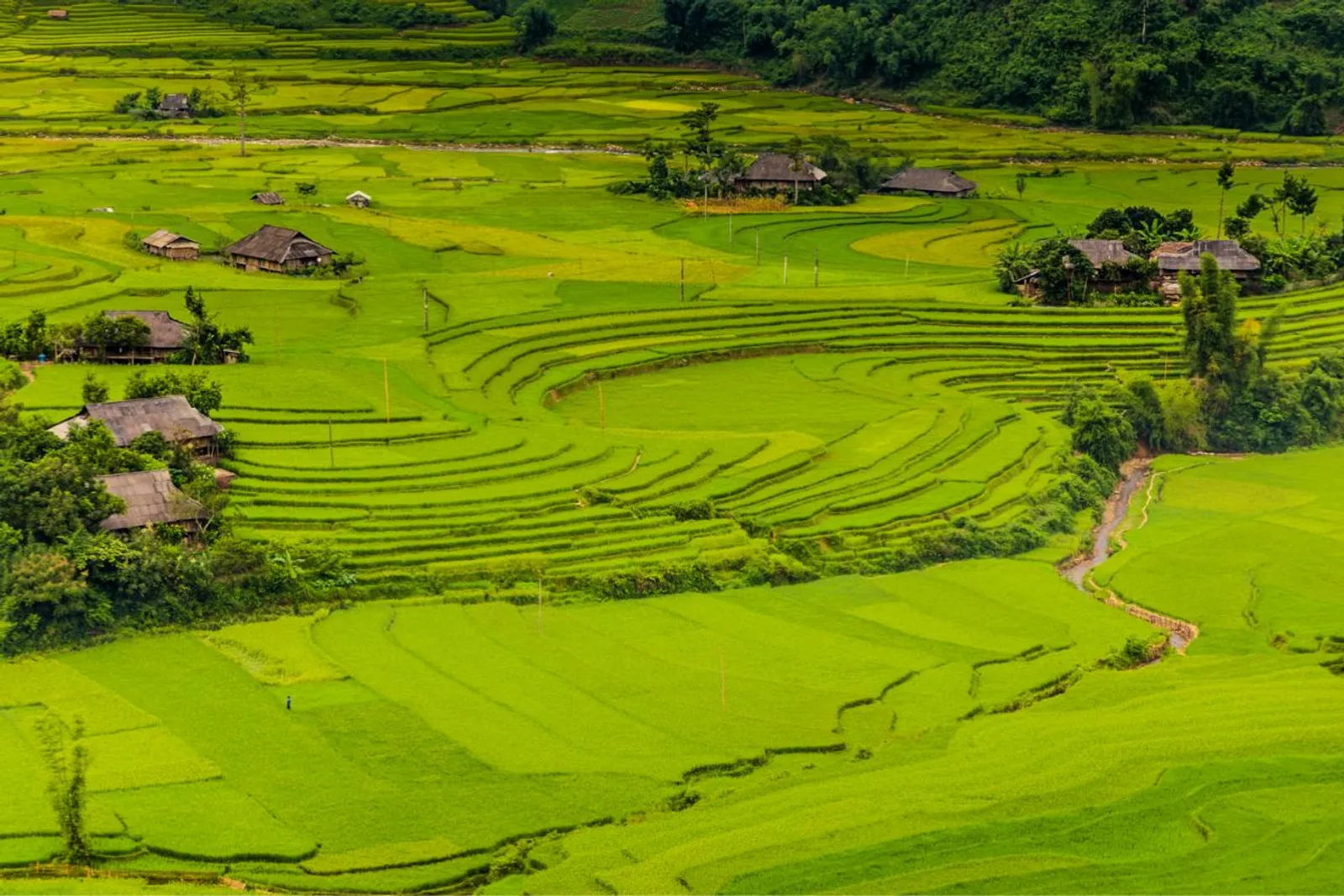 Mu Cang Chai & Sapa 7-Day Private Tour: Khau Pha Pass, Fansipan & Ta Van – photo 31