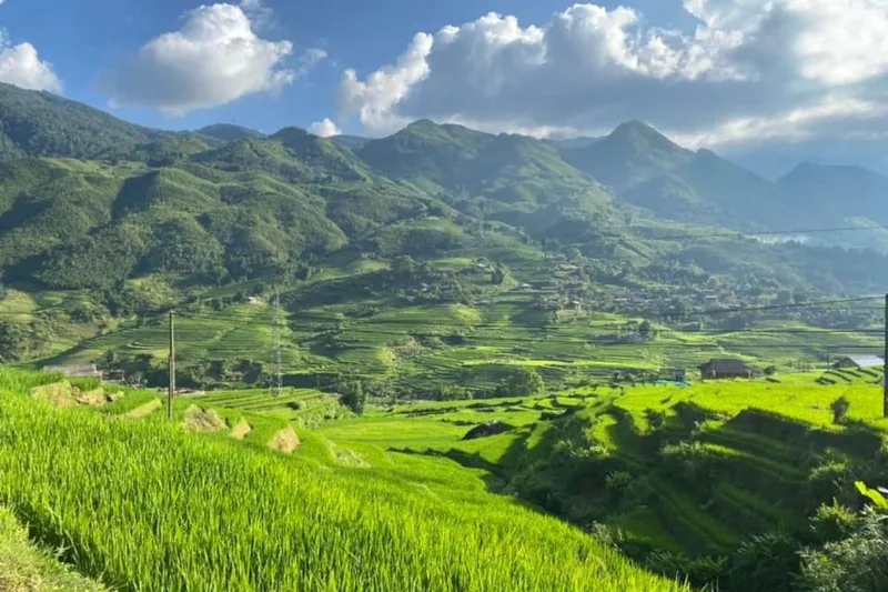 Mu Cang Chai → Than Uyen → O Quy Ho Pass → Sapa → Sin Chai