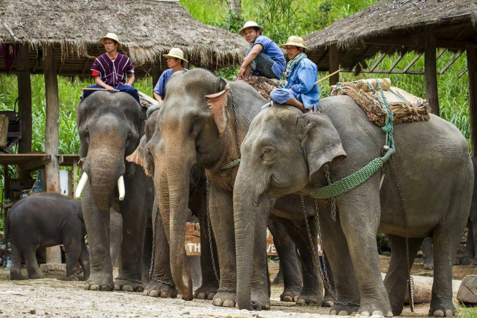 4D3N CHIANG MAI TOUR – photo 8