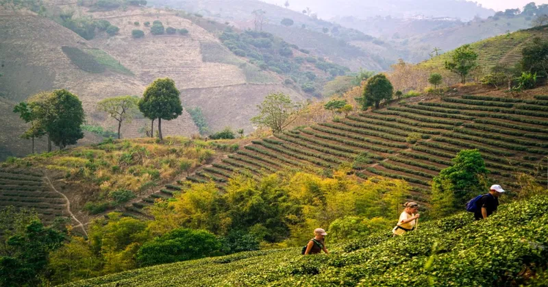 2D1N Chiang Rai Trekking Tour