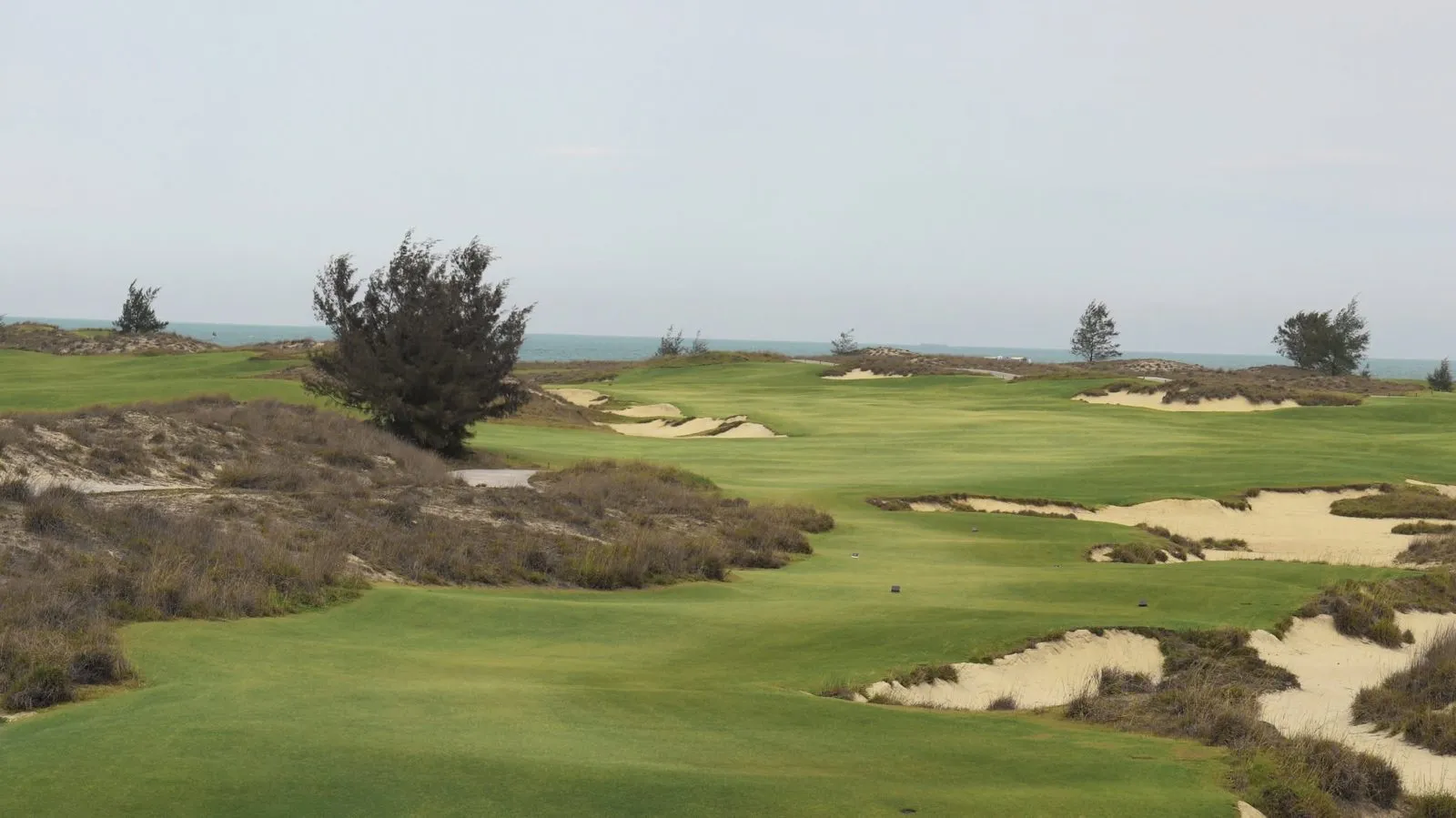 Hoiana Shores Golf Club: Course, Green Fees and the Questions Golfers Always Ask
