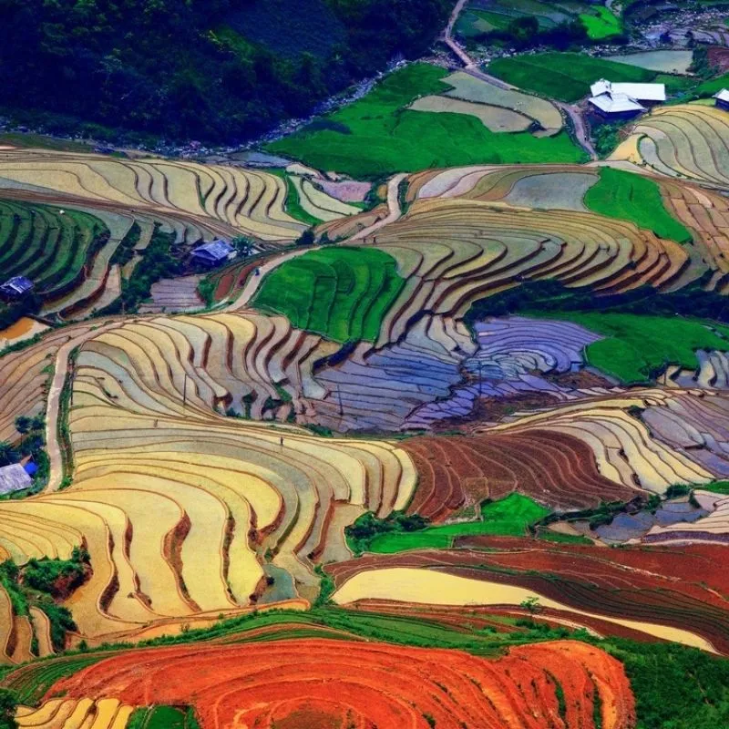 Northwest Vietnam 7-Day Private Tour: Tu Le, Mu Cang Chai, Moc Chau & Pu Luong