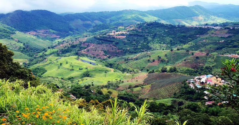 4D3N CHIANG RAI TOUR