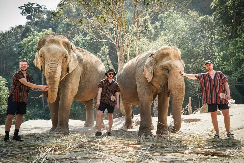 Elephant Jungle Sanctuary Experience (B, L) Join in