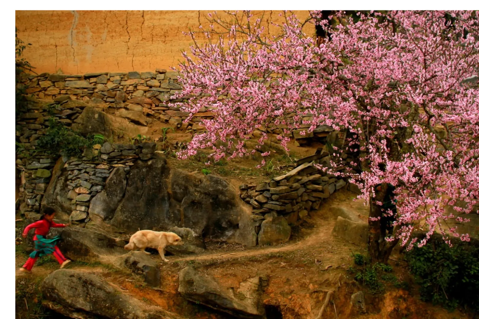 Exploring Sapa in February: Weather, Attractions & Travel Tips