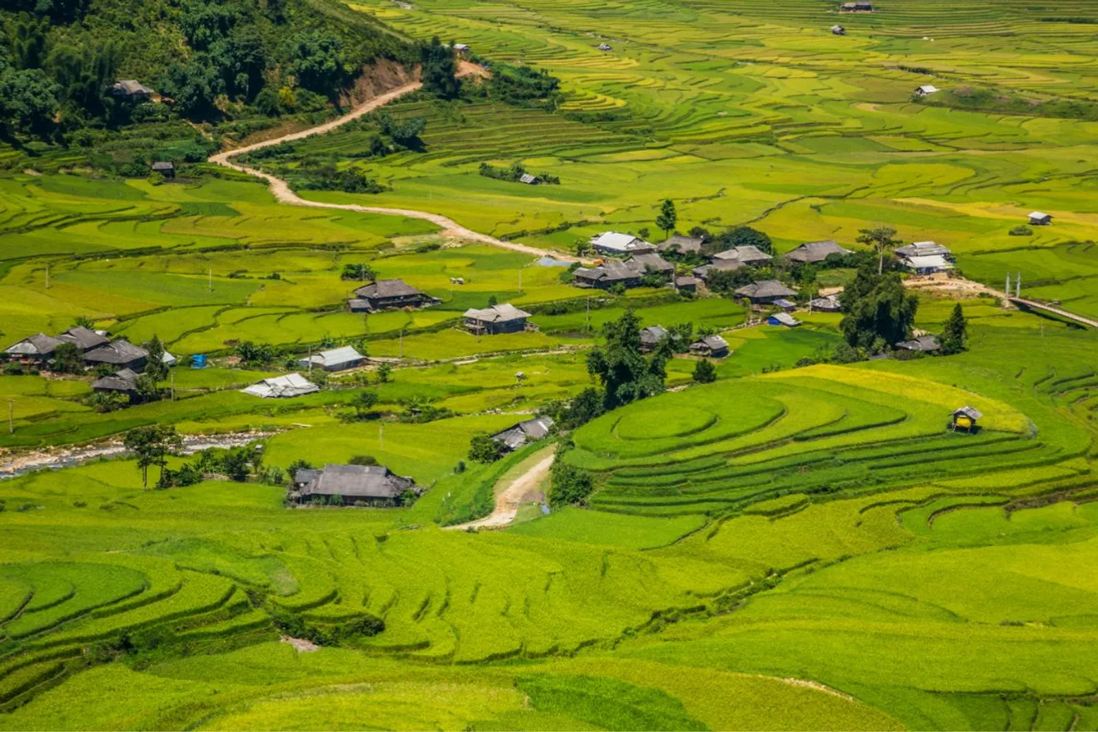 Mu Cang Chai & Sapa 7-Day Private Tour: Khau Pha Pass, Fansipan & Ta Van – photo 30