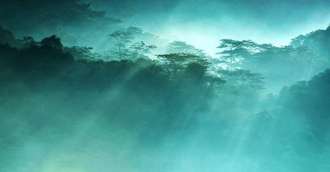 Cuc Phuong National Park Tour 1 Days