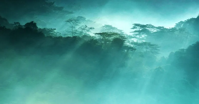 Cuc Phuong National Park Tour 1 Days