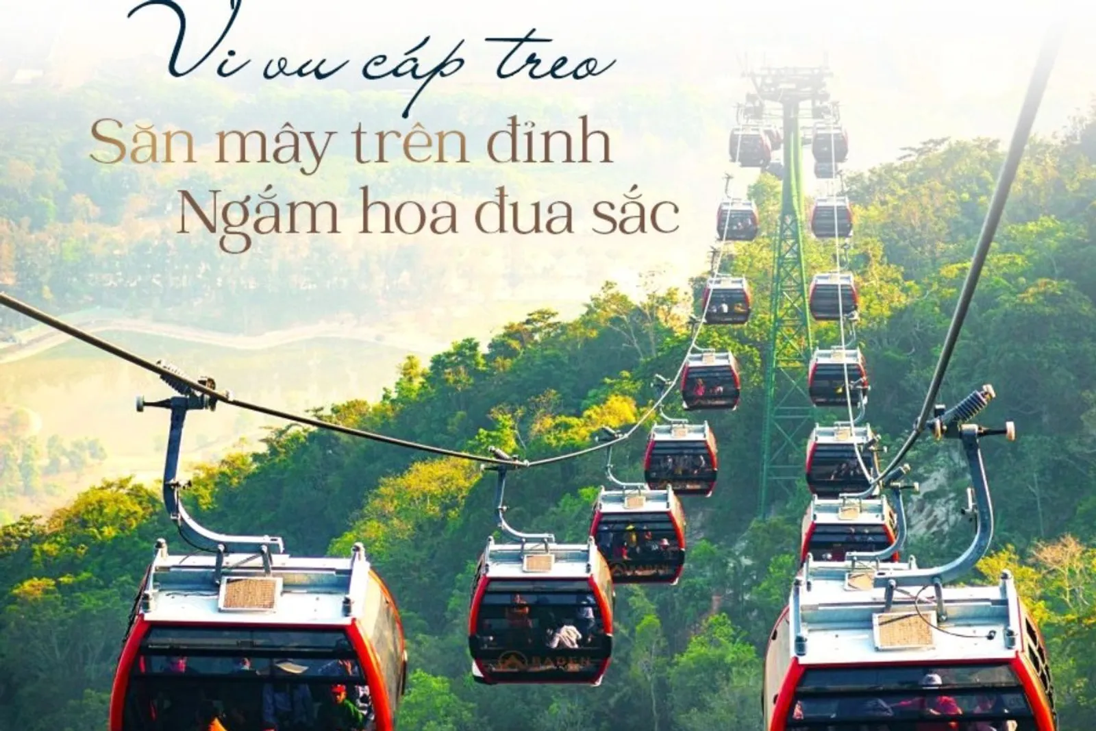4D3N Ho Chi Minh City / Cu Chi / Tay Ninh / Black Virgin Mountain / My Tho Tour – photo 5