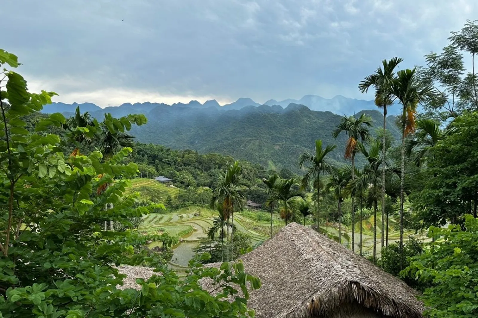 8D7N Mai Chau Valley Pu Luong Retreat Ninh Binh Halong Bay Tour – photo 12