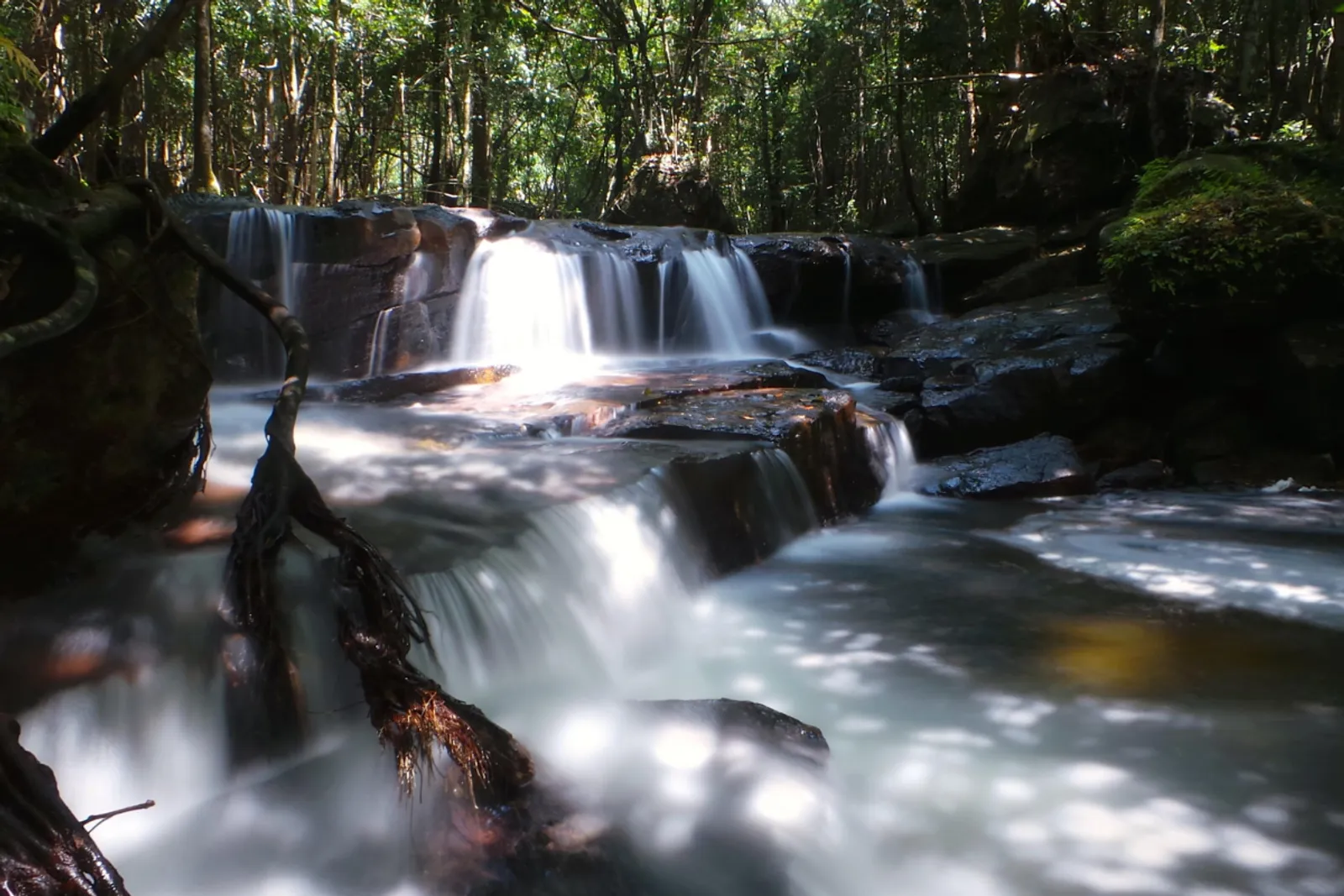 Suoi Tranh Waterfall: A Nature Lover's Paradise in Phu Quoc