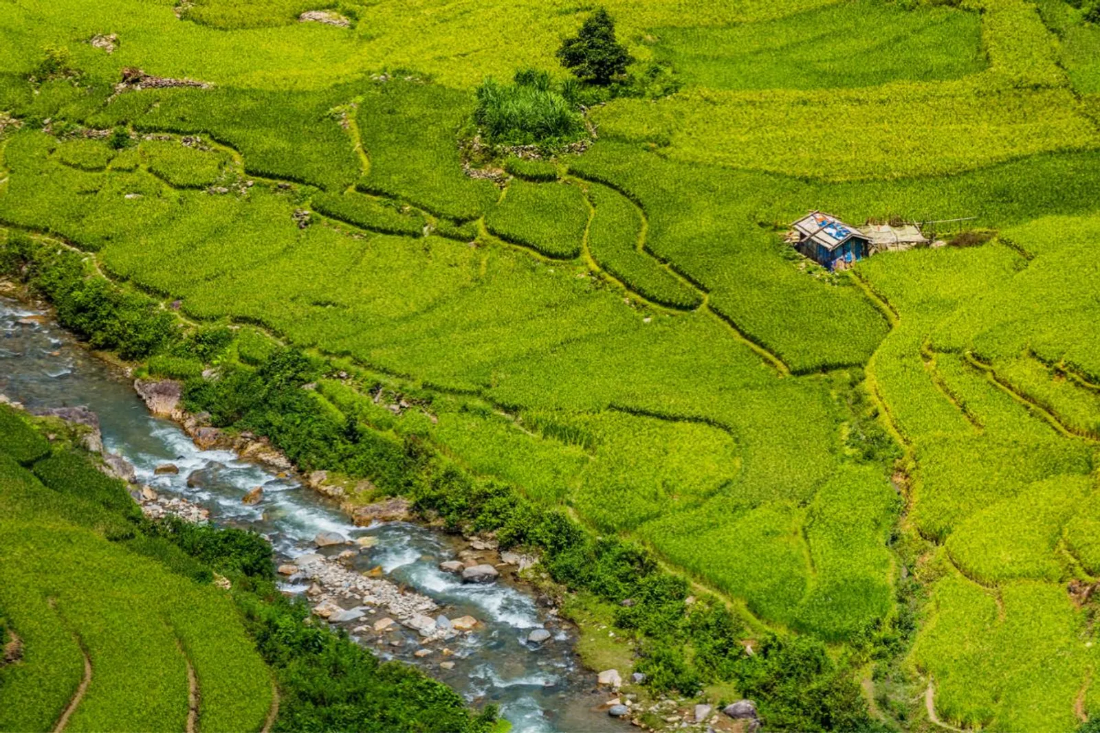 Mu Cang Chai & Sapa 7-Day Private Tour: Khau Pha Pass, Fansipan & Ta Van – photo 26