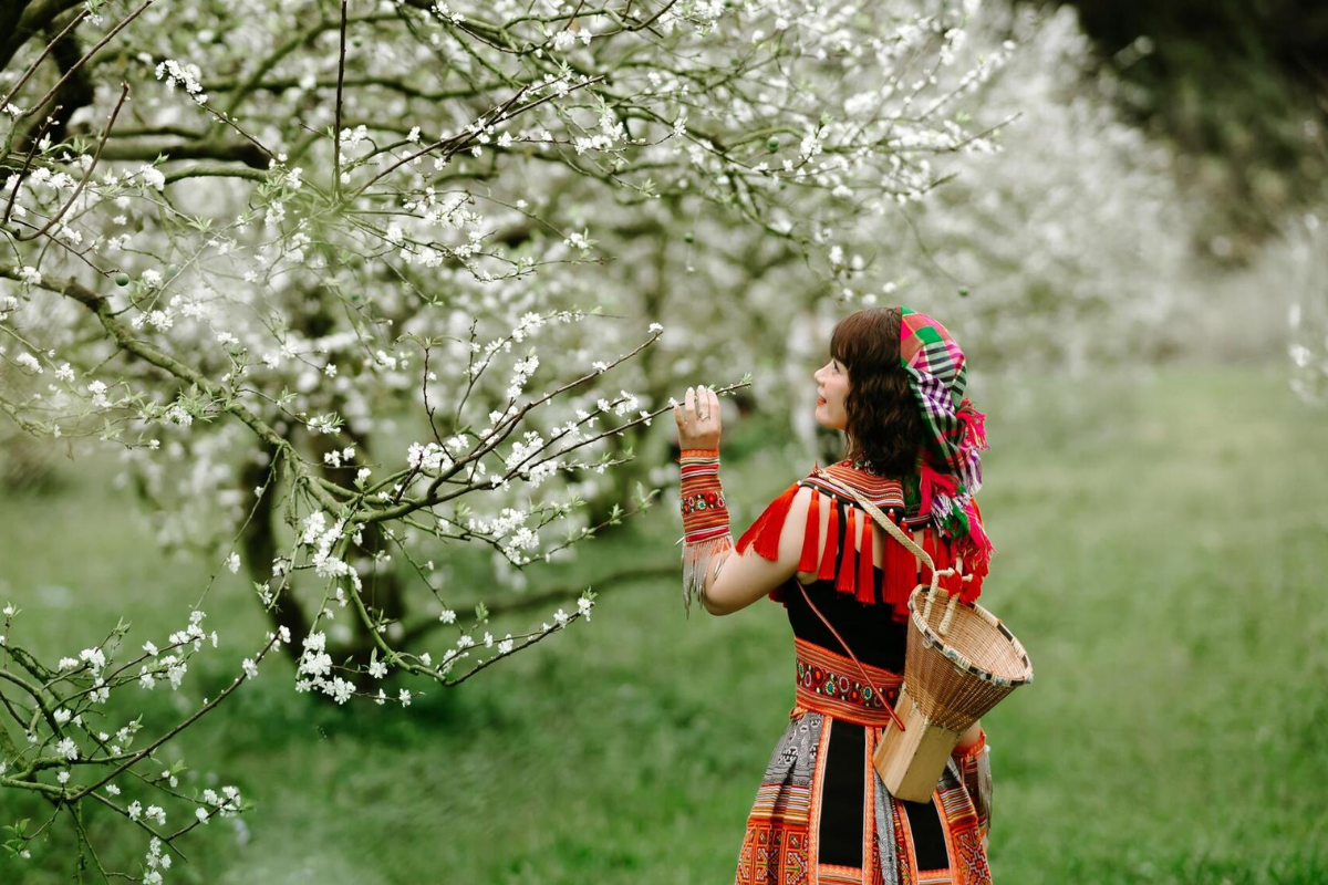 Spring in Vietnam