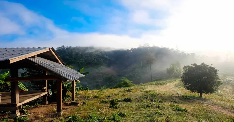 3D2N Chiang Mai - Lahu Village Trekking Tour