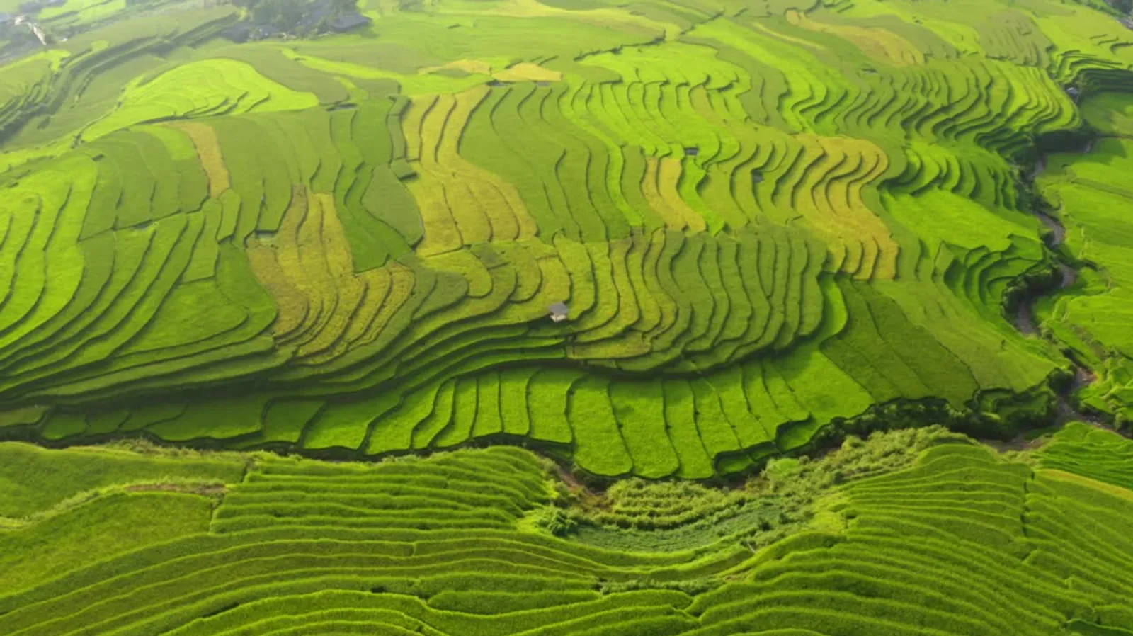 Mu Cang Chai Tour 3 Days – photo 47