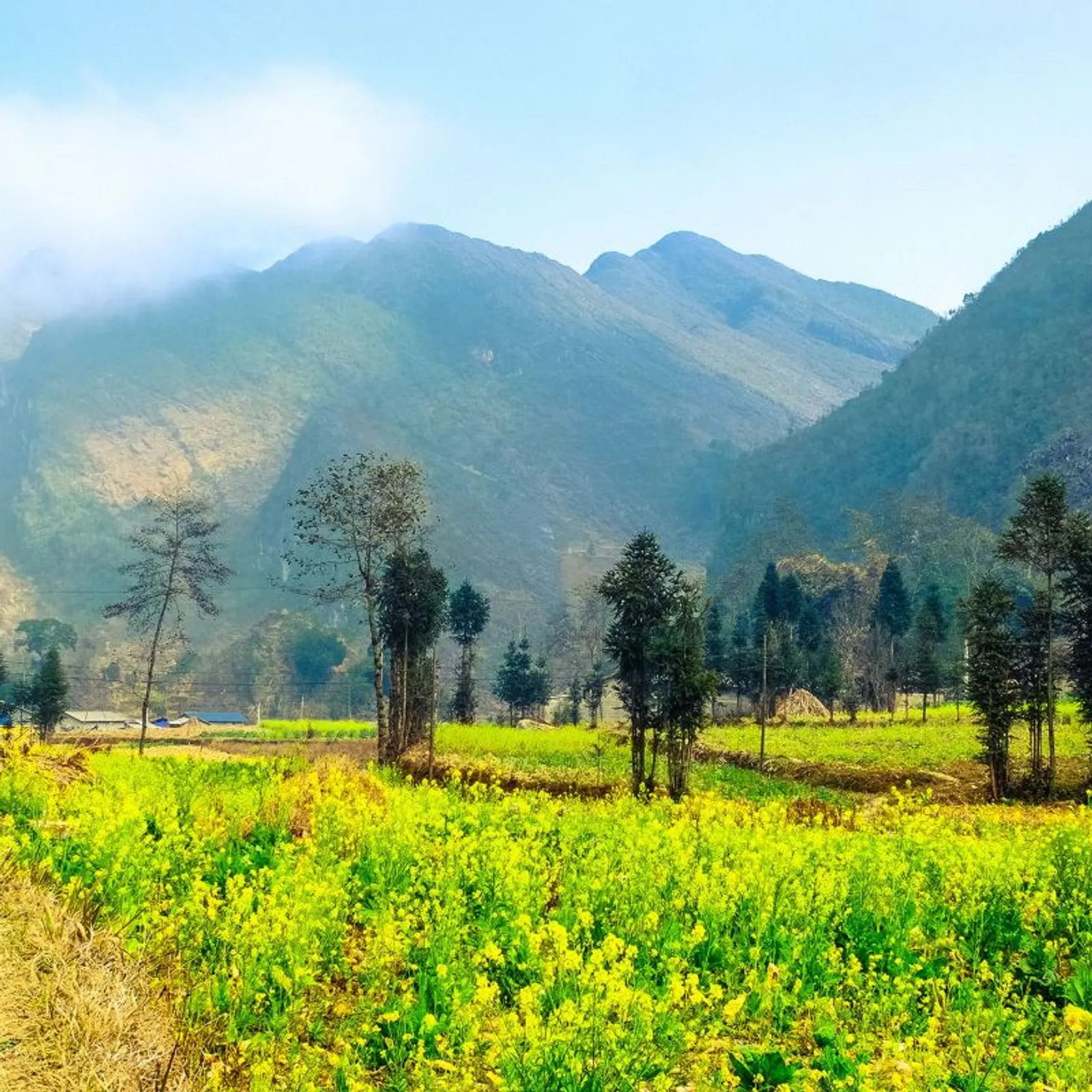 6 Day Ha Giang Yen Minh Meo Vac Cao Bang Ban Gioc Waterfall Tour – photo 14