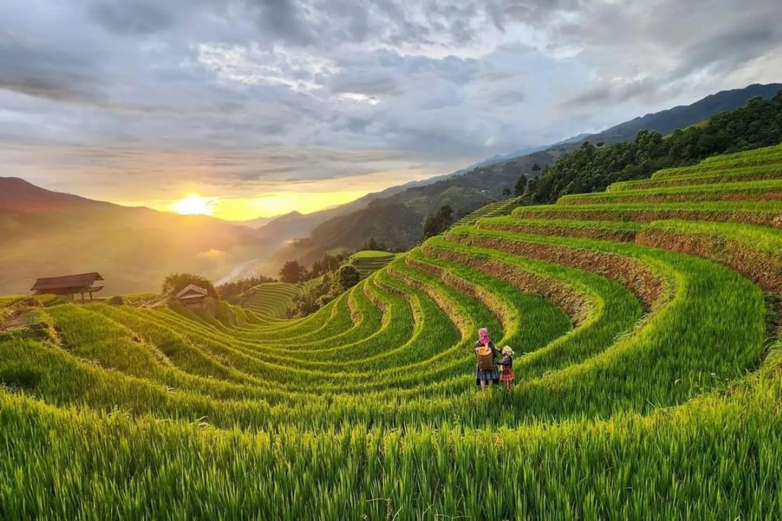 Mu Cang Chai Tour 3 Days – photo 38