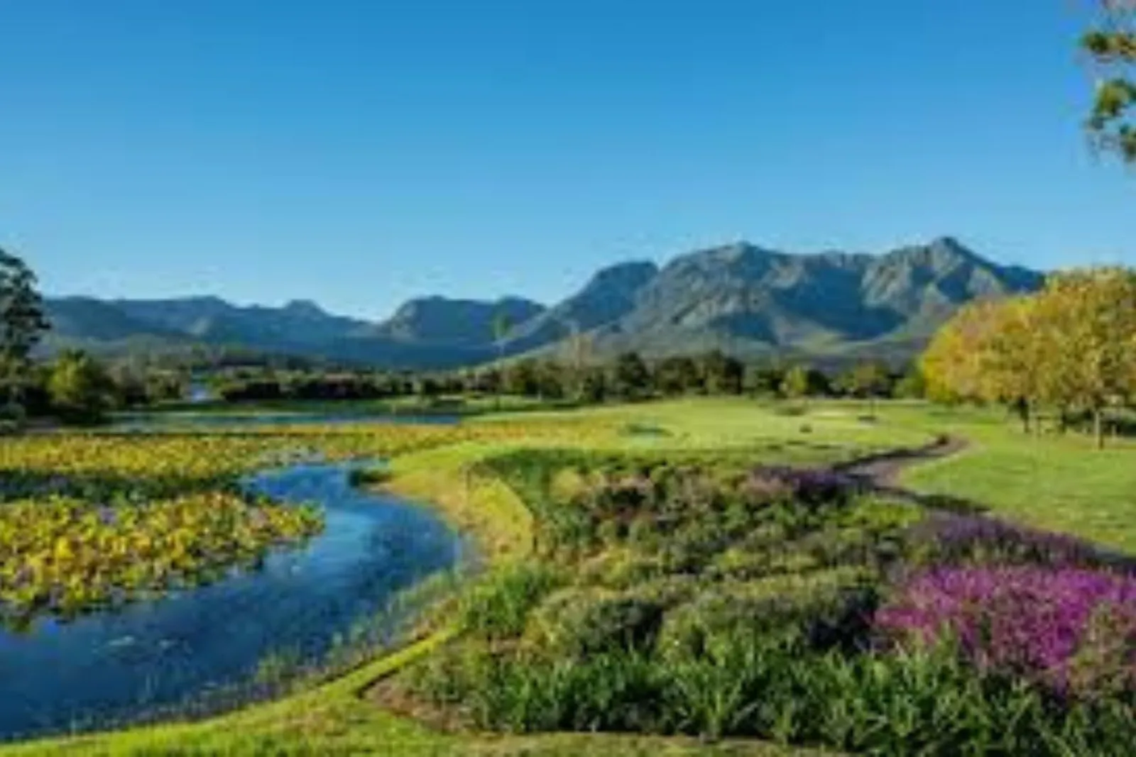 Fancourt Golf south africa World Mate Travel1