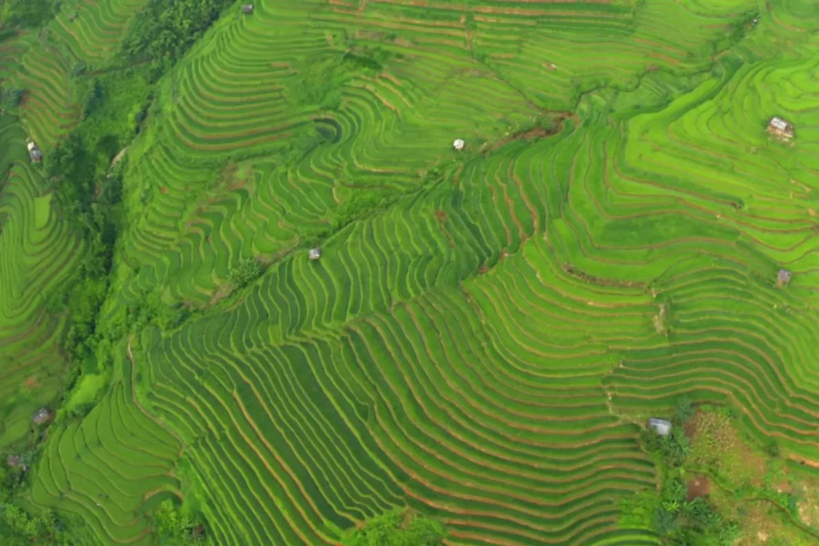 Mu Cang Chai & Sapa 7-Day Private Tour: Khau Pha Pass, Fansipan & Ta Van – photo 4