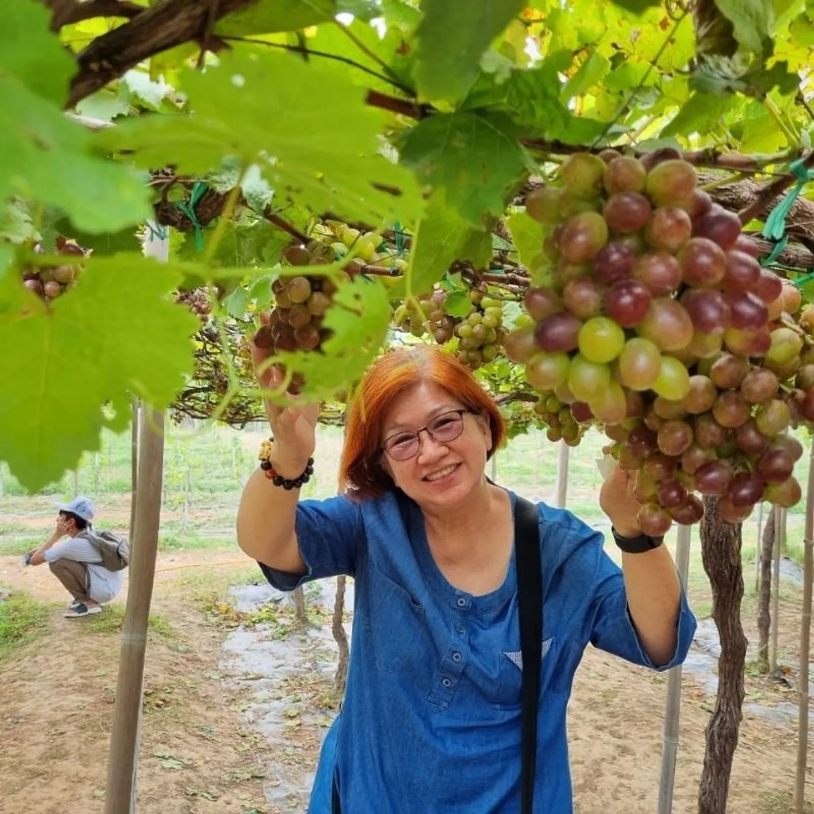 Central & South Vietnam 10 Days: Hue, Hoi An, Dalat, Mui Ne & Nha Trang – photo 68