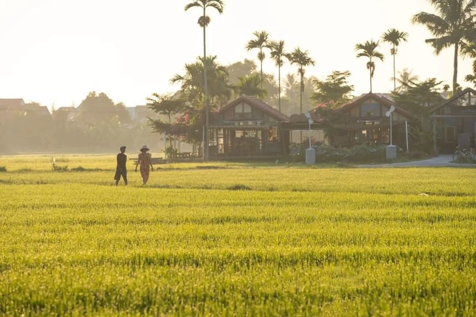 5D4N Exquisite Da Nang / Hue / Hoi An / Ba Na Hill Tour – photo 32